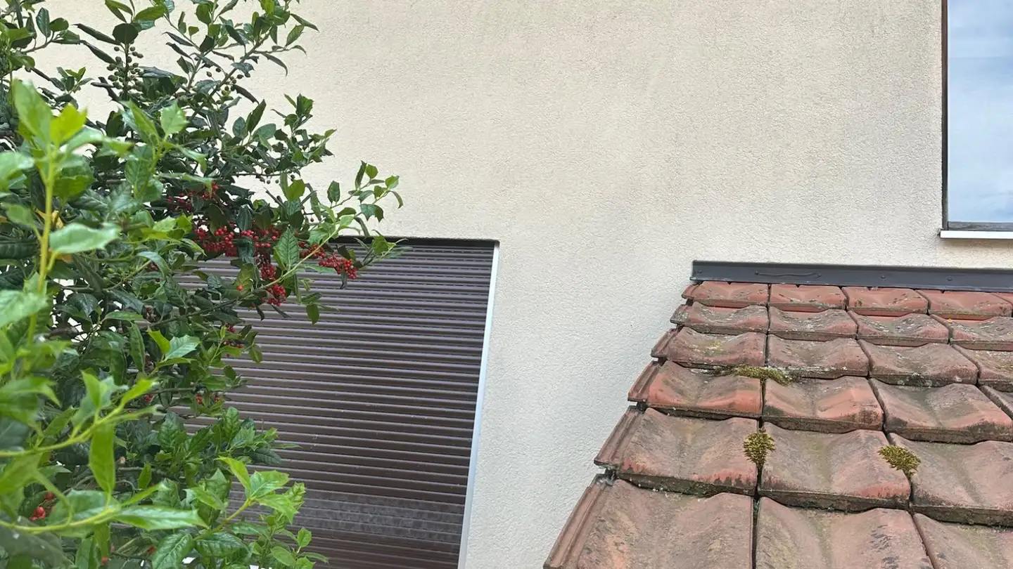 Wohnung mieten - Günsbergstrasse 4, 4523 Niederwil SO