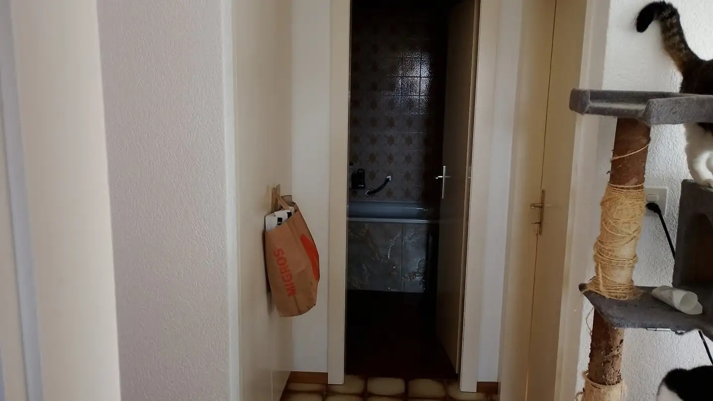 Apartment for rent - Rue Des Cloubeaux 4, 1905 Dorénaz - Photo 3