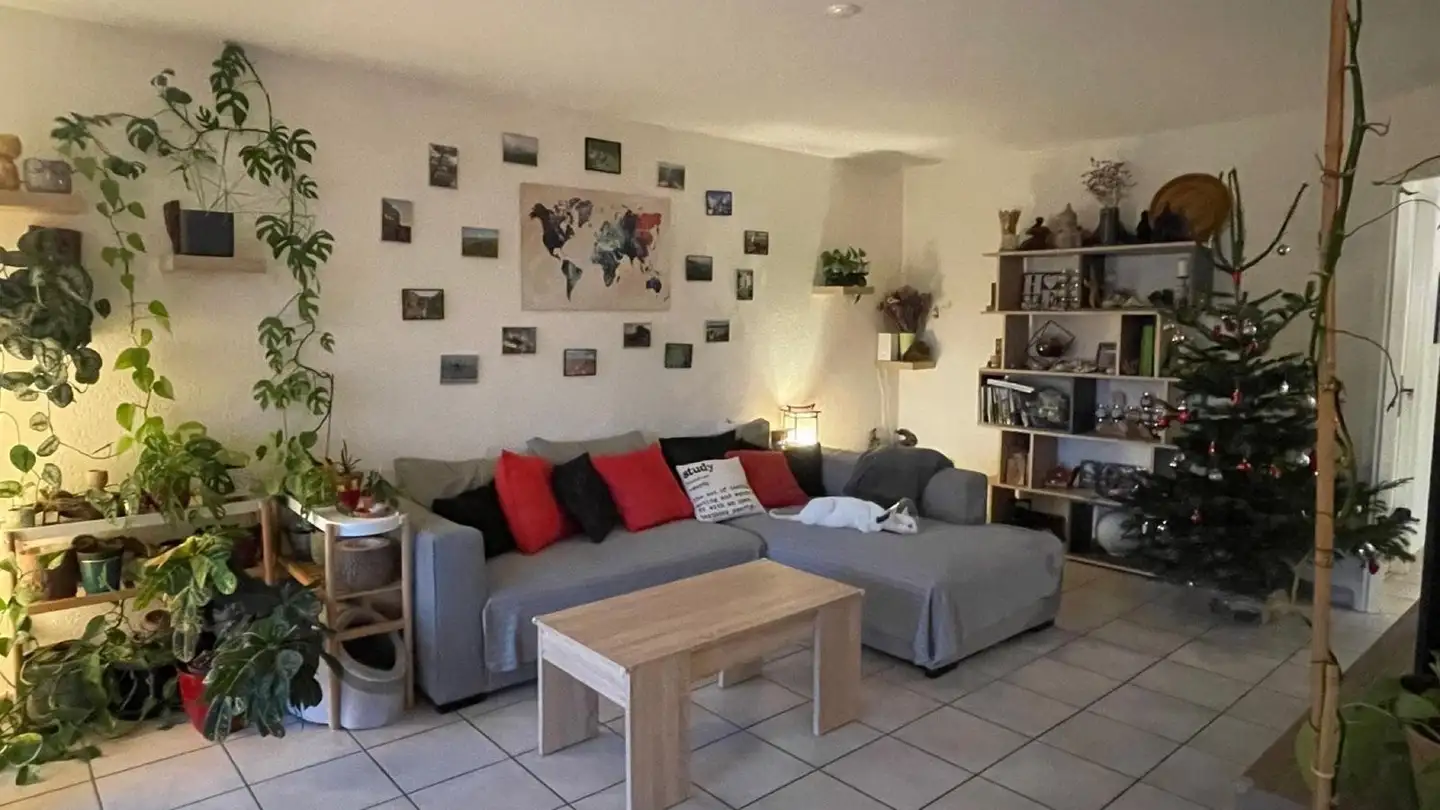 Appartement à louer - 1228 Plan-les-Ouates