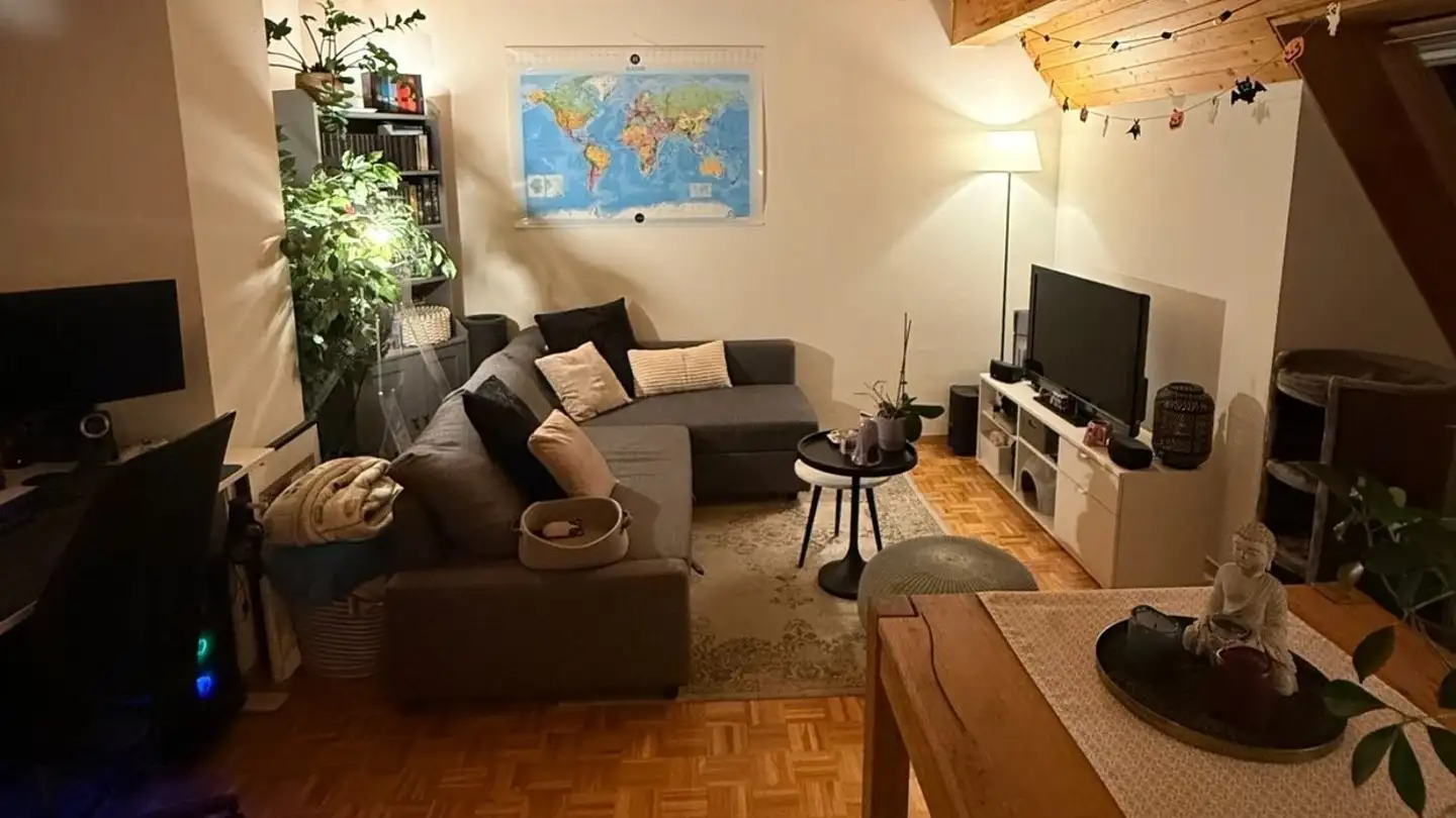 Wohnung mieten - Avenue Alexandre-Vinet 3, 1815 Clarens