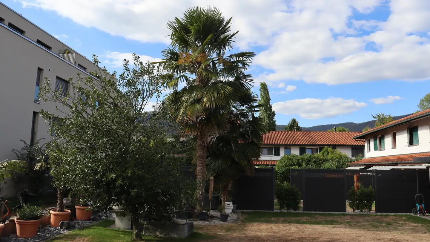 Maison en terrasse à vendre - 4616 Kappel SO - Photo 2