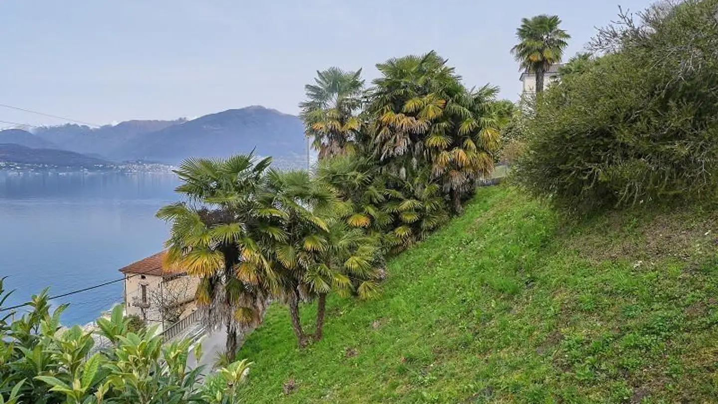 Terrain constructible à vendre - 6577 Ranzo