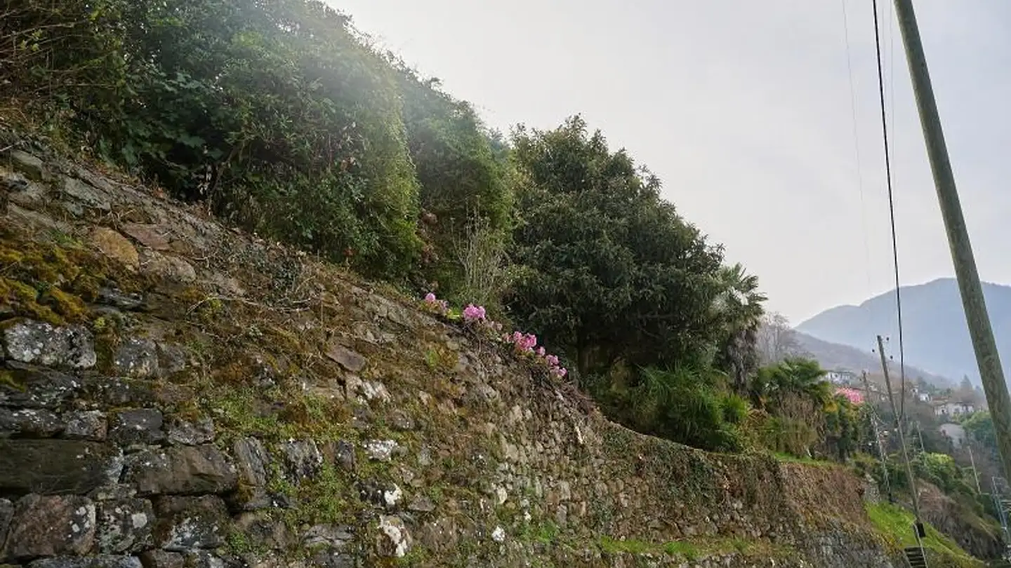 Terrain constructible à vendre - 6577 Ranzo - Photo 3