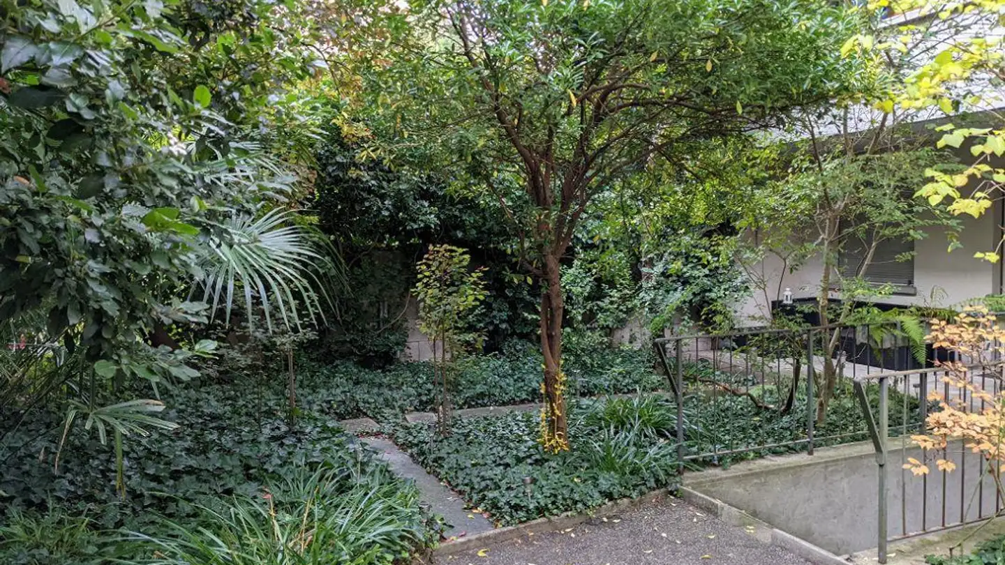 Wohnung mieten - Habsburgerstrasse 30, 4055 Basel