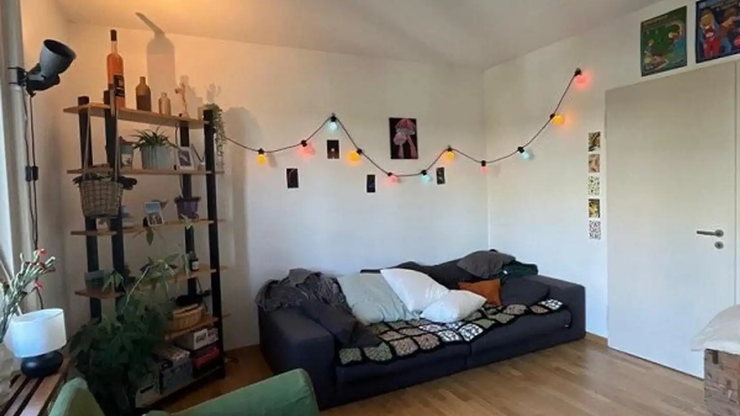 Apartment for rent - Manessestrasse 111, 8045 Zürich - Photo 3