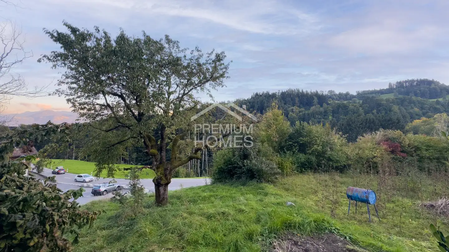 Constructible plot for sale - 9442 Berneck - Photo 2