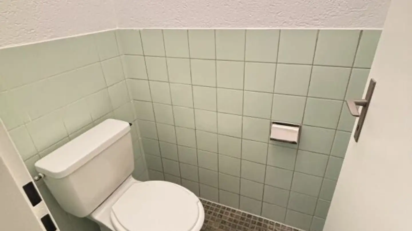 Appartamento in affitto - Schafmattweg 33, 4102 Binningen - Foto 4