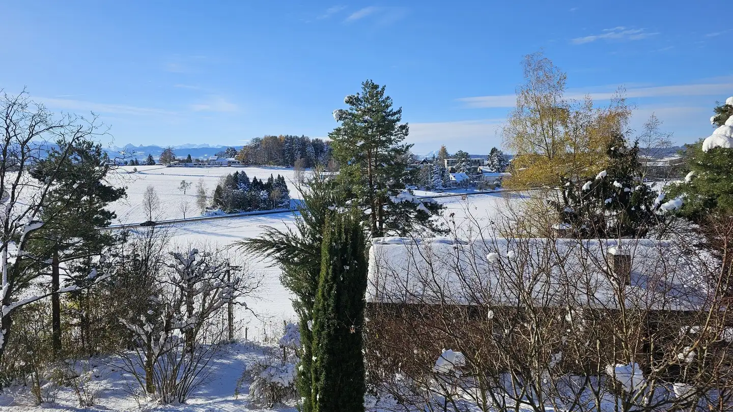 Maison individuelle à louer - 8620 Wetzikon ZH - Photo 3