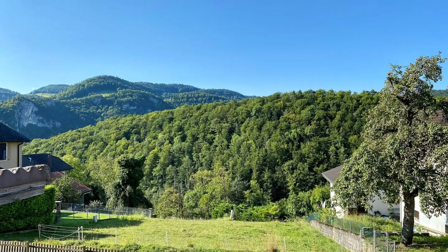 Immeuble résidentiel à vendre - Niederdorf 4, 4254 Liesberg Dorf