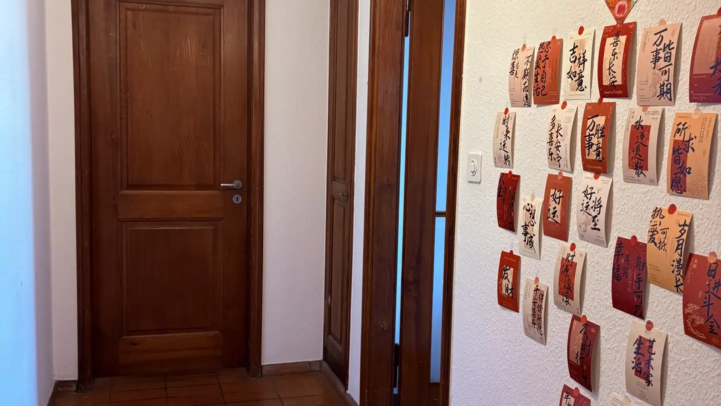 Appartement à louer - 8051 Zürich