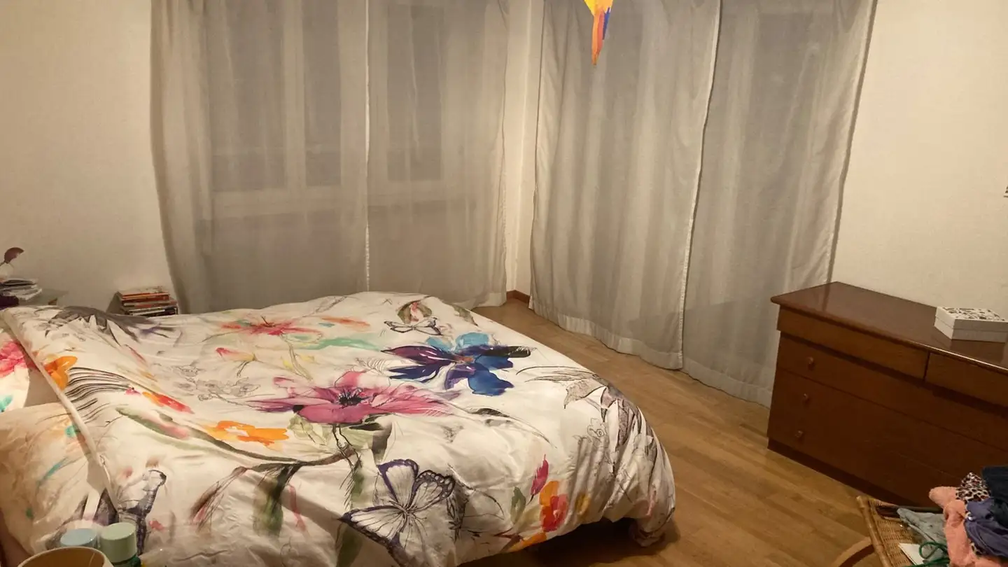 Appartamento in affitto - Al Triulzi 6, 6535 Roveredo GR - Foto 4