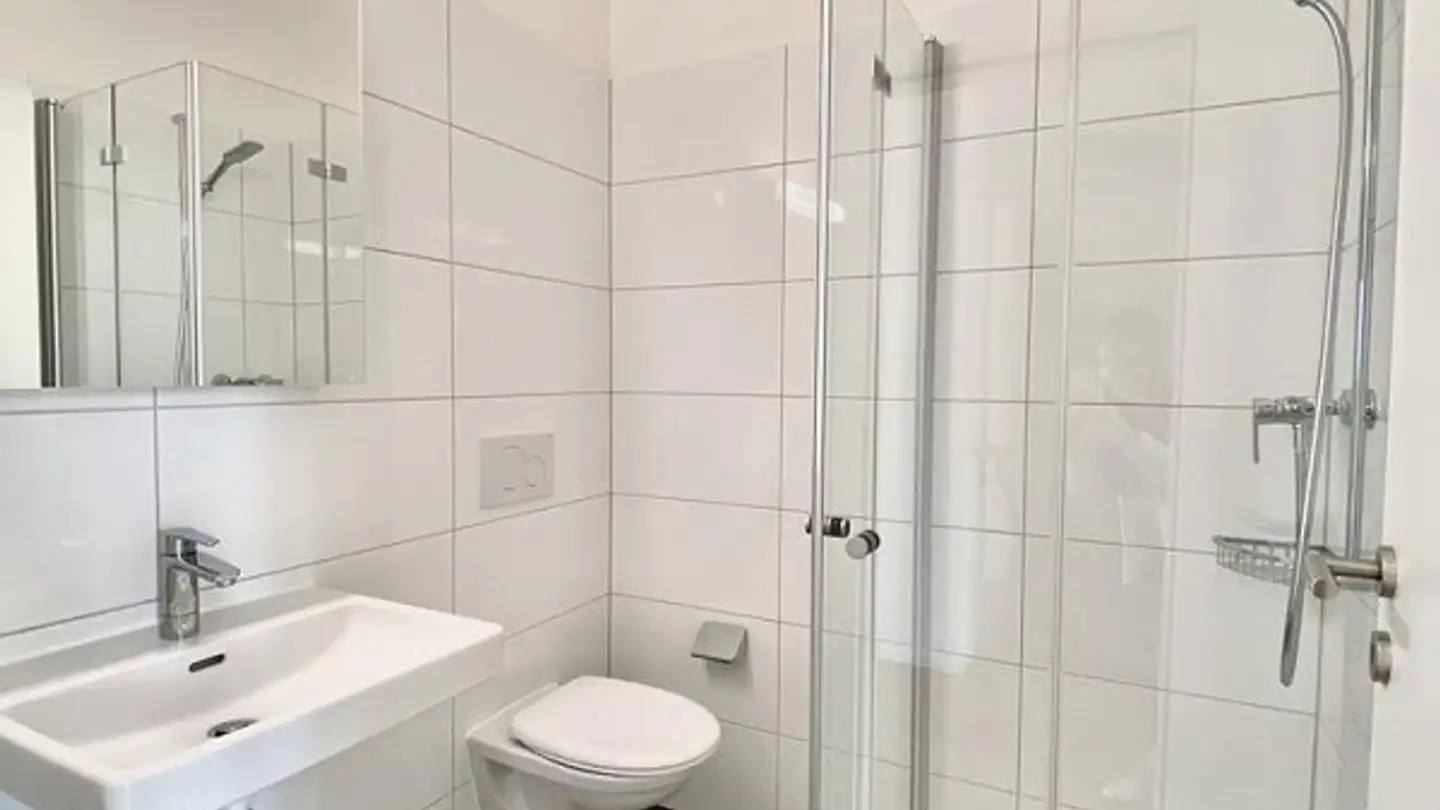 Single house for rent - Birsmatt 6, 4147 Aesch BL - Photo 4