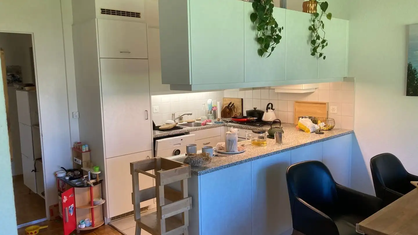 Furnished apartment for rent - 3047 Bremgarten b. Bern - Photo 4