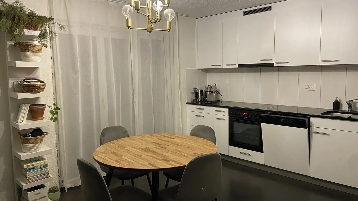Appartement meublé à louer - 8610 Uster