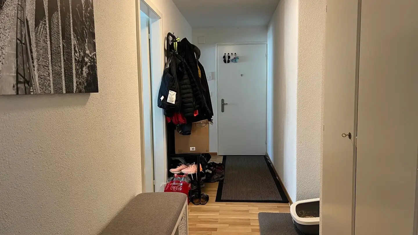 Stepped apartment for rent - Zürcherstrasse 110, 8800 Thalwil - Photo 4