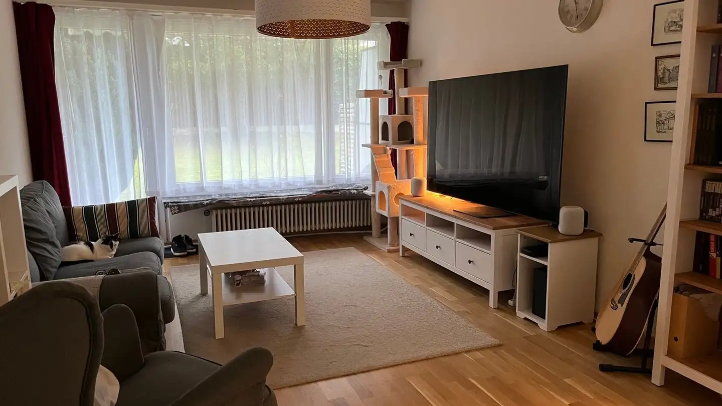 Stepped apartment for rent - Zürcherstrasse 110, 8800 Thalwil