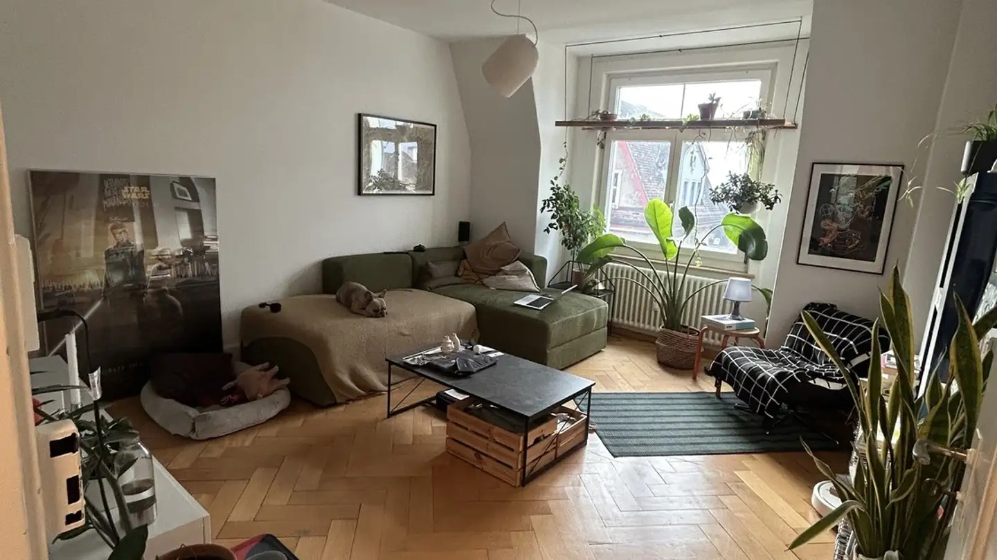 Appartamento in affitto - Nordstrasse 308, 8037 Zürich - Foto 2