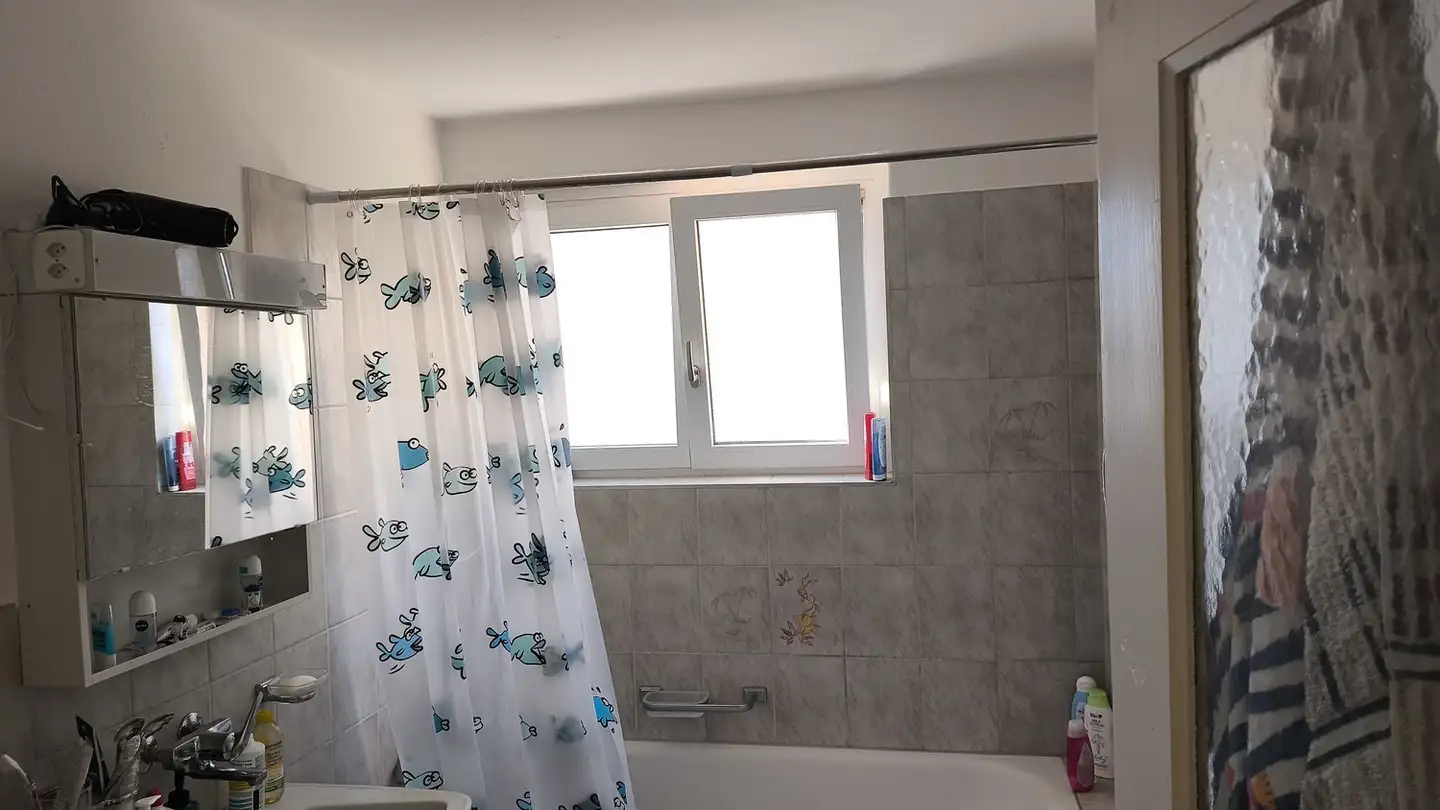 Apartment for rent - 8152 Glattbrugg - Photo 4