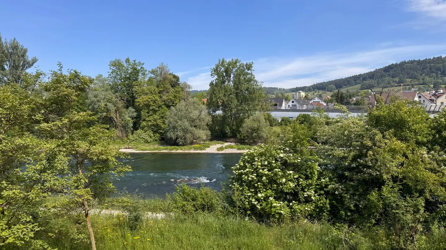 Appartamento in affitto - Langwisenstrasse, 8103 Unterengstringen