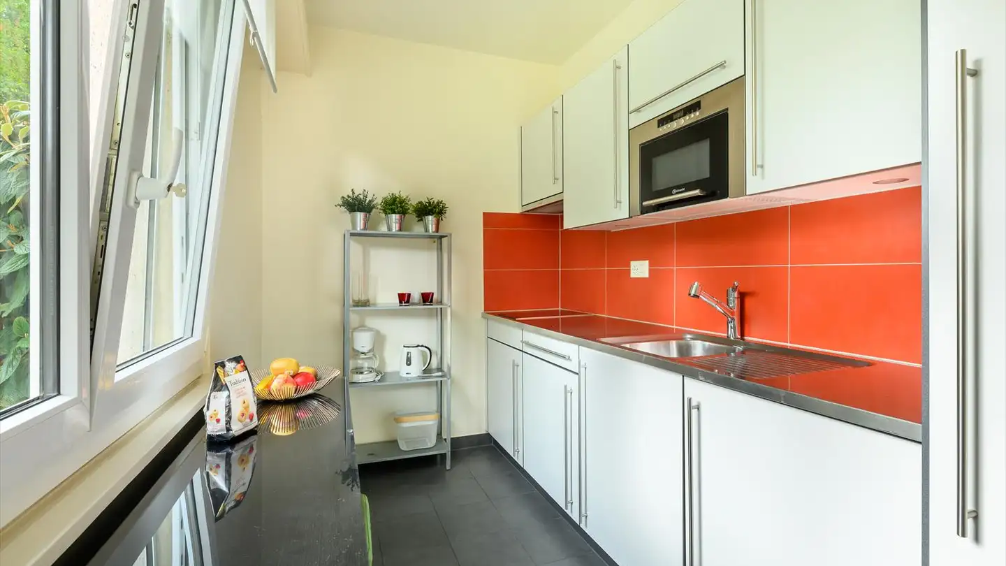 Möblierte Wohnung mieten - Rue De La Dôle, 1203 Genève - Foto 4