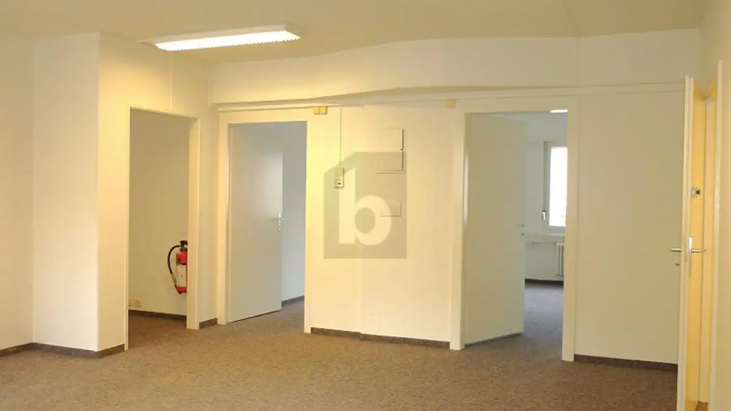 Commercial for rent - 1004 Lausanne - Photo 4