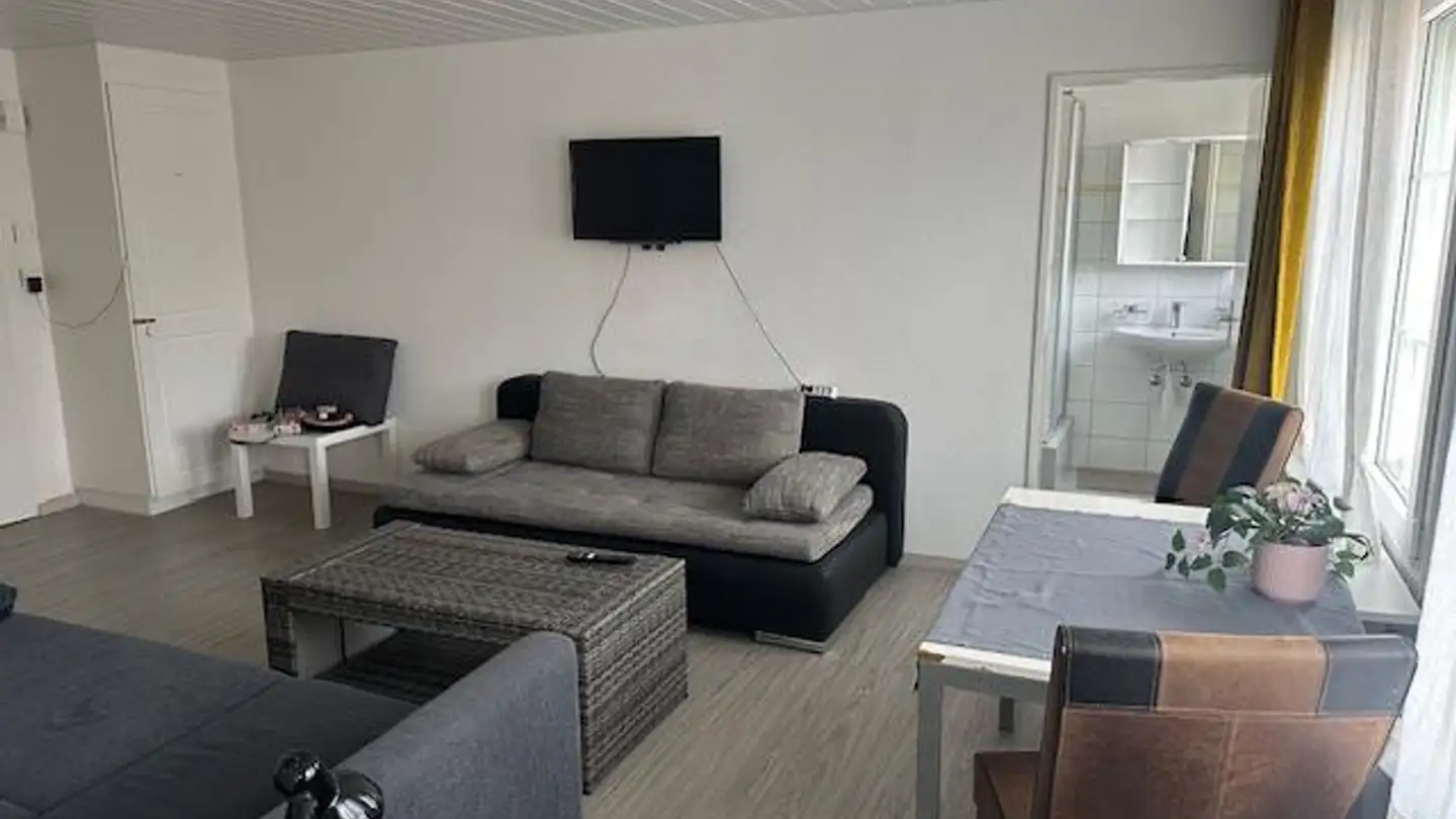 Appartamento in affitto - Seestrasse 27, 8596 Scherzingen - Photo 2