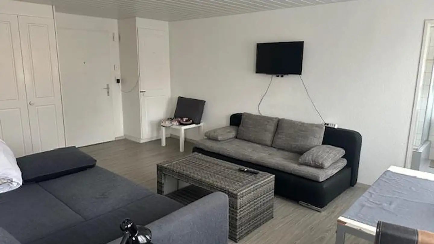 Appartamento in affitto - Seestrasse 27, 8596 Scherzingen - Photo 3