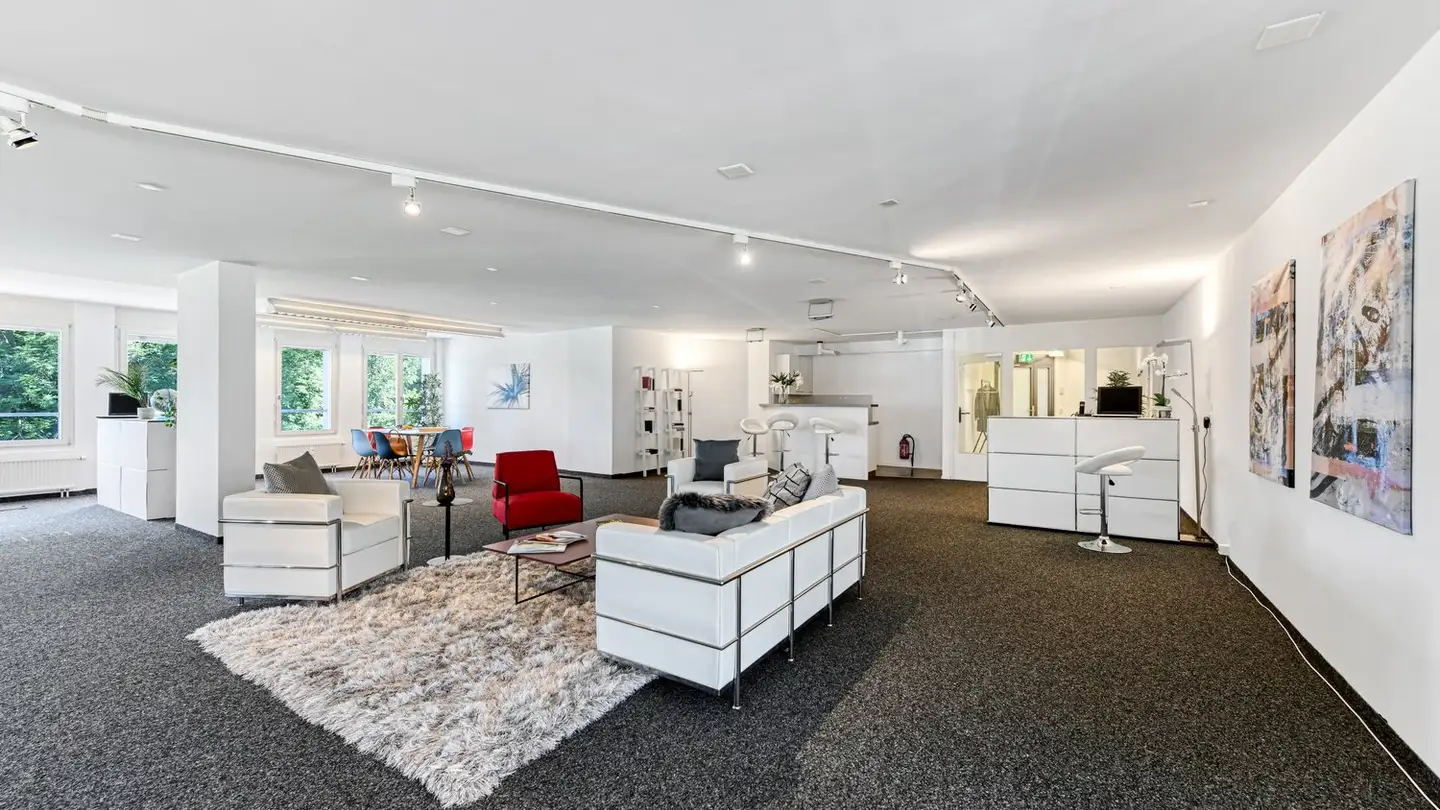 Office space for rent - Neugutstrasse 66, 8600 Dübendorf