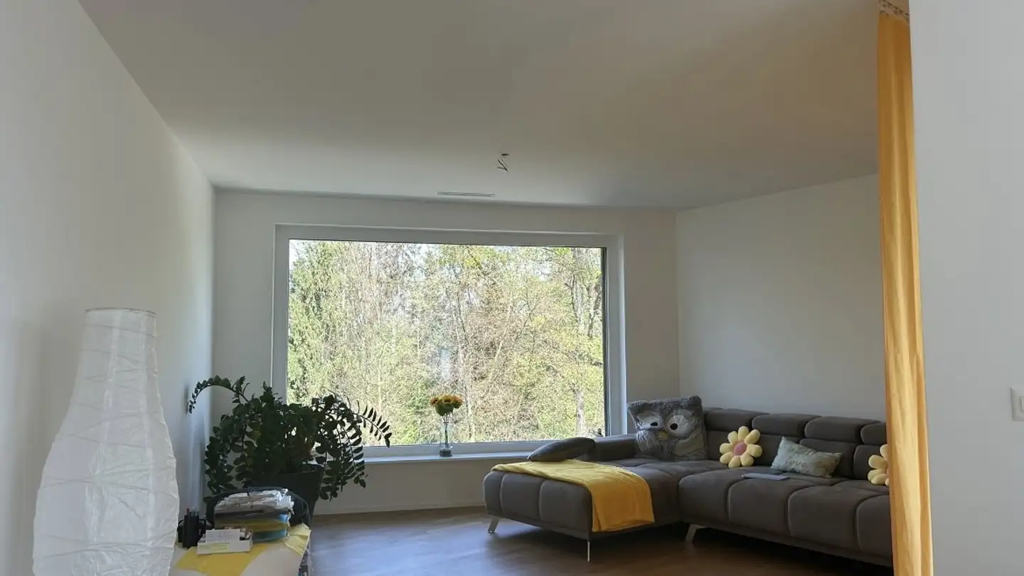 Appartamento in affitto - 8304 Wallisellen