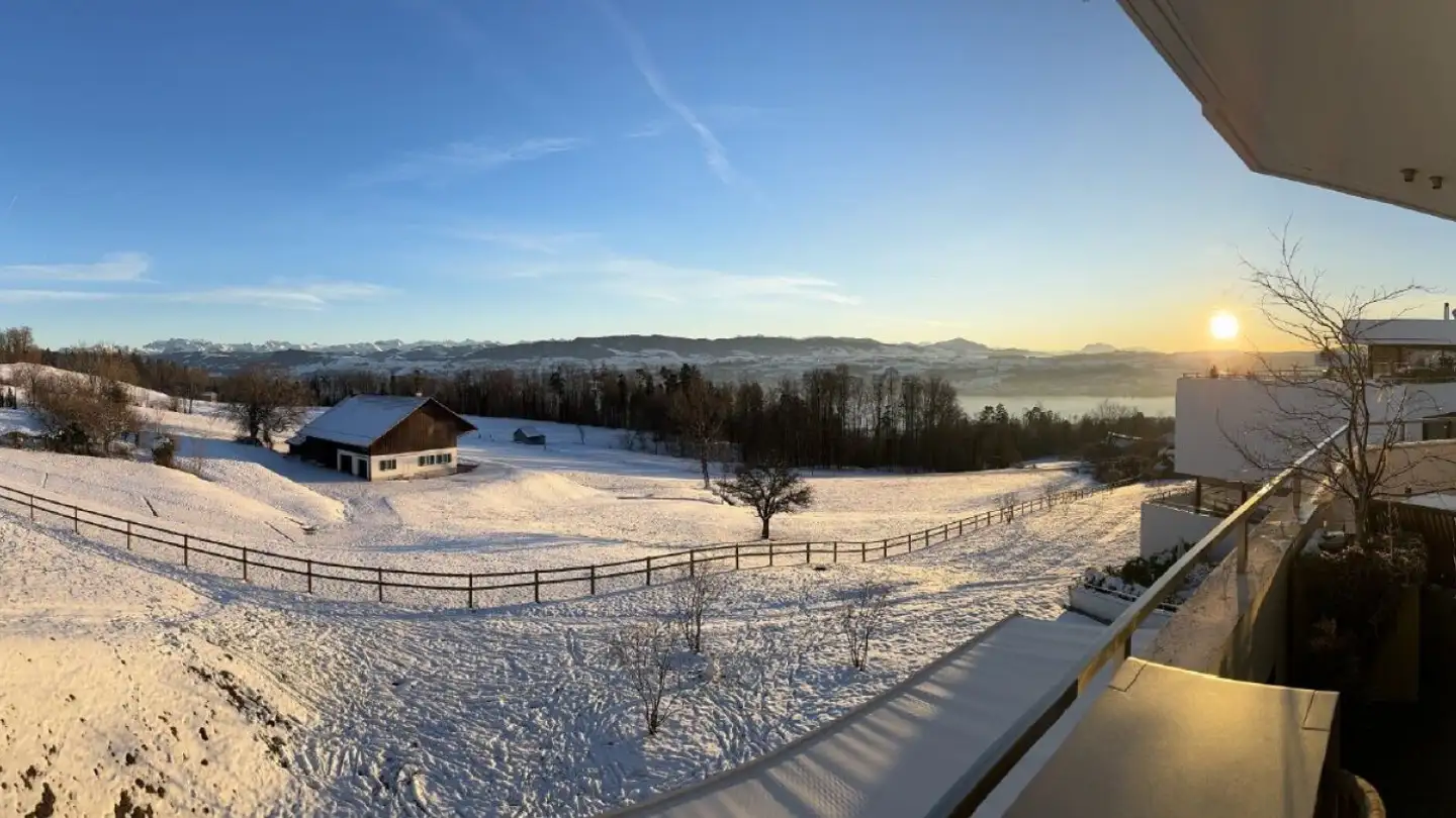 Loft à vendre - 8707 Uetikon am See