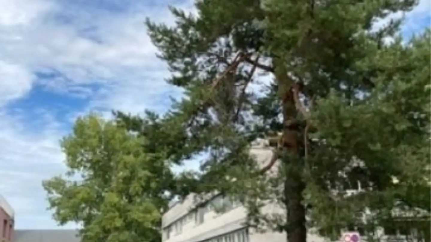 Parcheggio esterno in affitto - Stettbachstrasse 93, 8051 Zürich