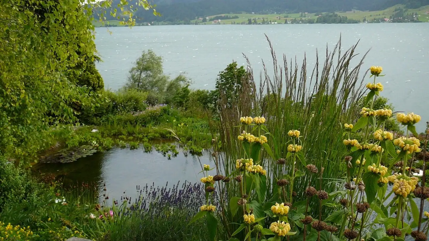 Casa singola in vendita - 8840 Trachslau