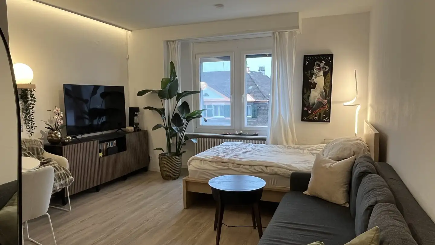 Appartamento in affitto - 8057 Zürich