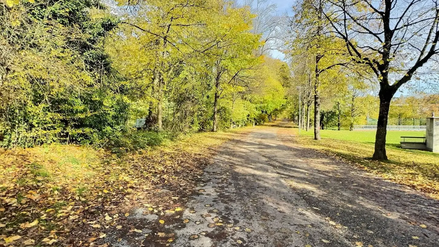 Casa singola in vendita - 1700 Fribourg - Photo 2