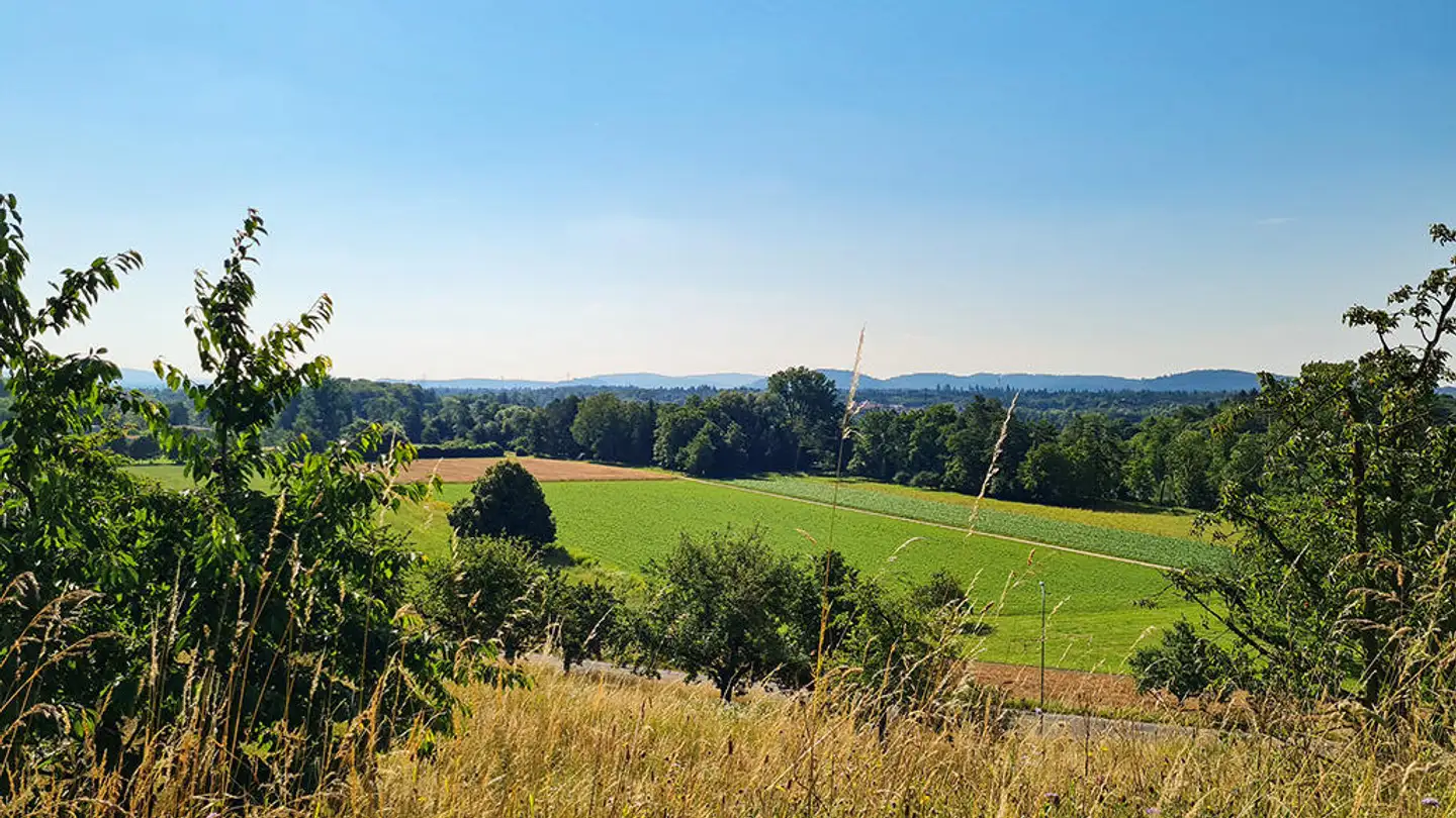 Apartment for sale - 5000 Aarau - Photo 3