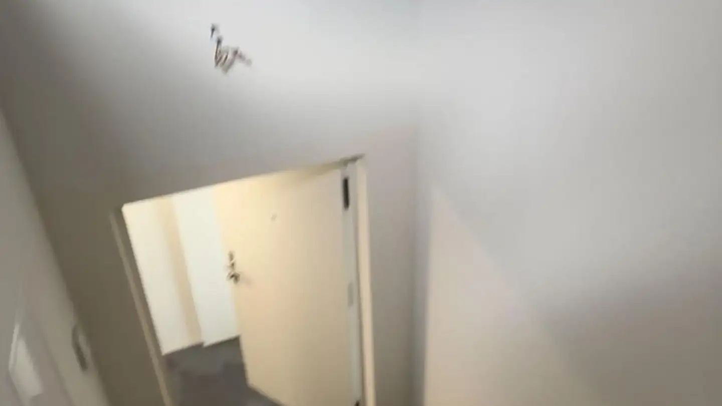 Wohnung mieten - Hintergasse 15, 8213 Neunkirch - Foto 3