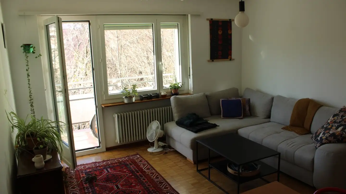 Appartement à louer - 6955 Cagiallo - Photo 2