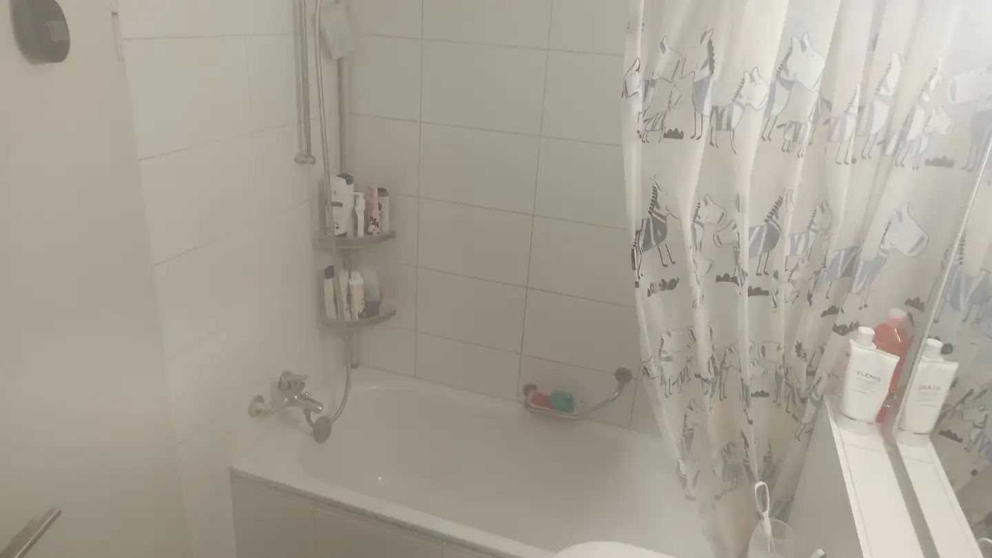 Chambre à louer - Wabersackerstrasse 55, 3097 Liebefeld - Photo 3