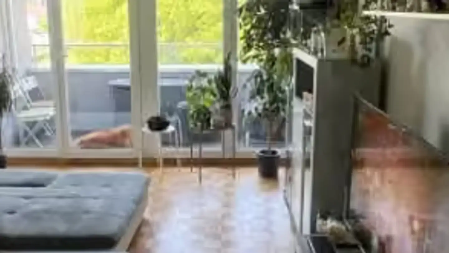 Wohnung mieten - Hallwilstrasse 24, 5600 Lenzburg