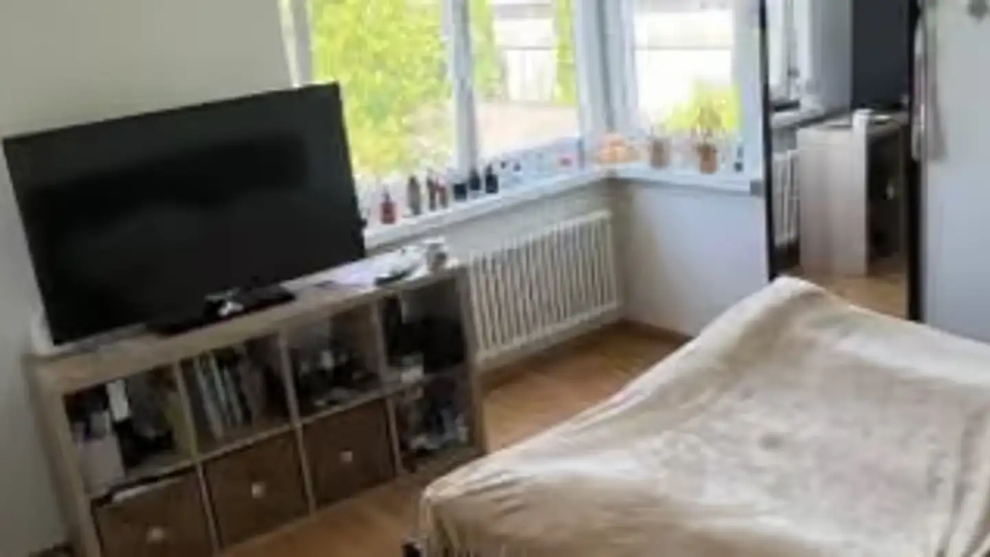 Appartamento in affitto - Hallwilstrasse 24, 5600 Lenzburg - Foto 2