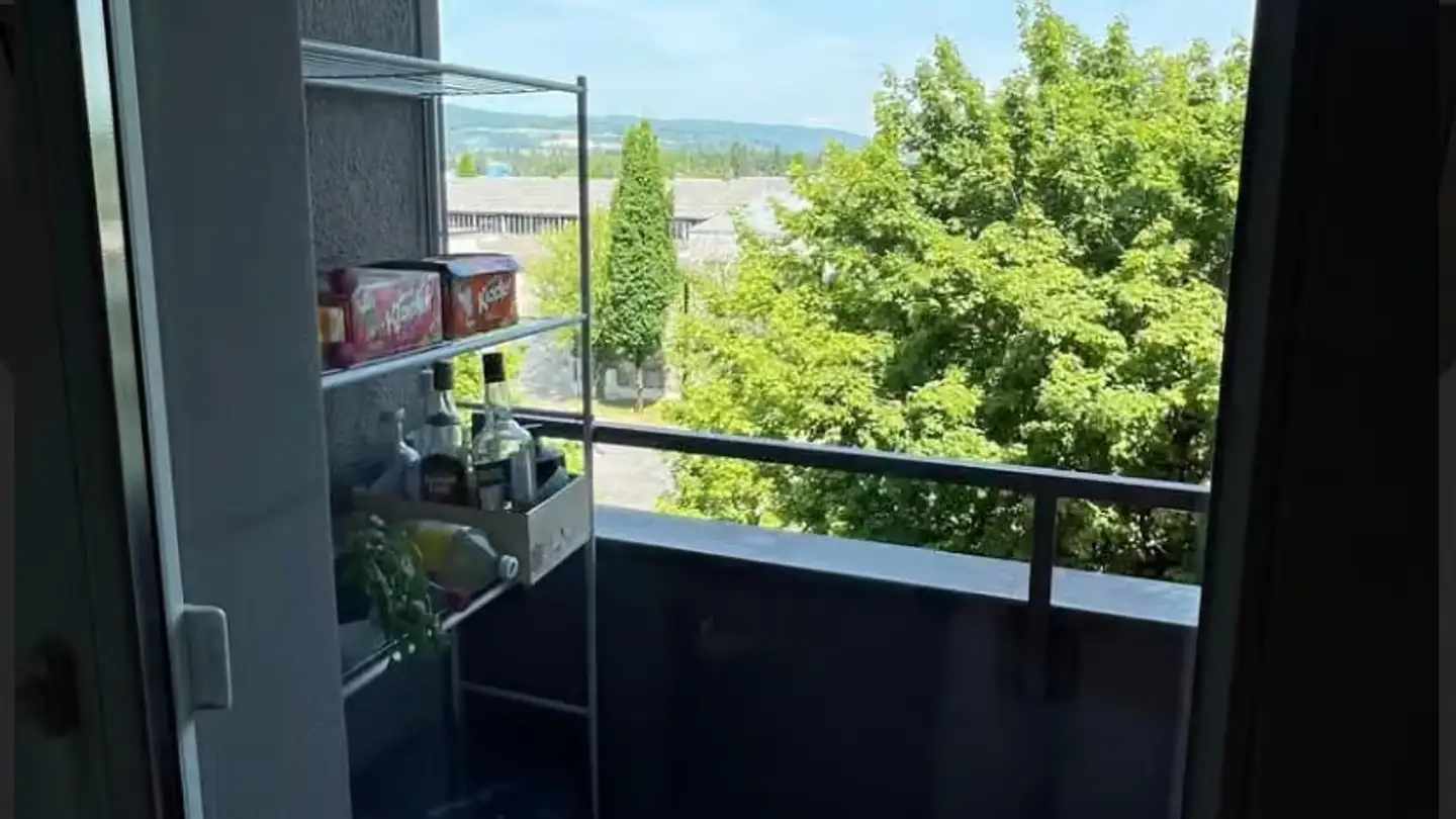 Appartamento in affitto - Hallwilstrasse 24, 5600 Lenzburg - Foto 3