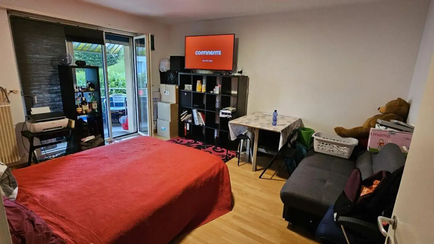 Appartamento in affitto - Bächlerstrasse 43, 8046 Zürich - Foto 2