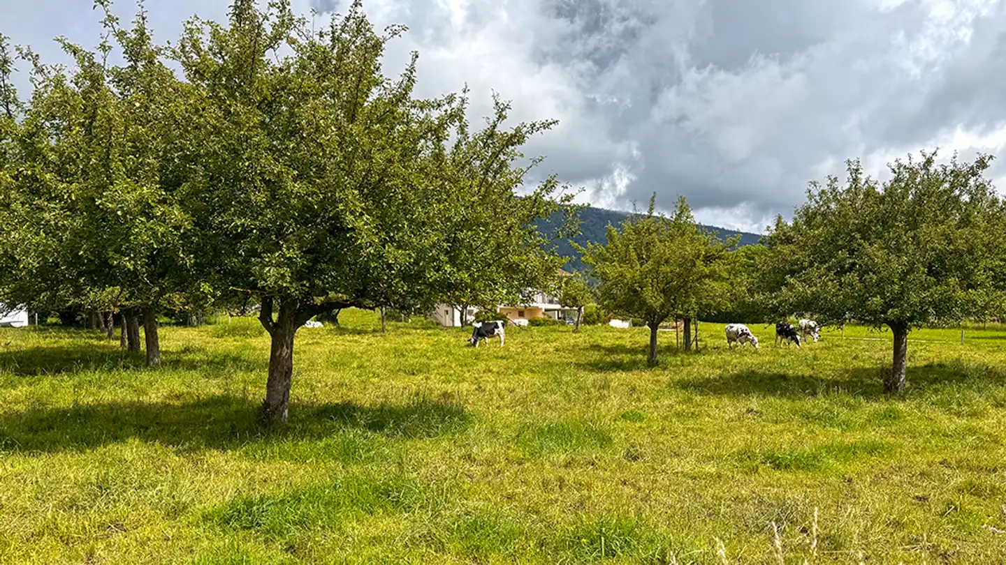 Single house for sale - 1145 Bière