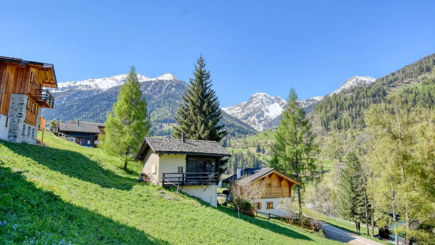 Bauland kaufen - Route Des Hombes 12, 3961 Mission - Foto 2