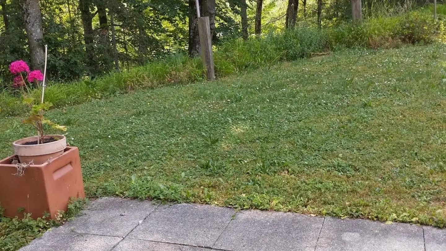 Stanza singola in affitto - 1027 Lonay - Foto 3