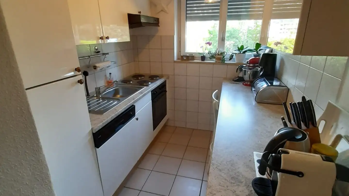 Appartement à vendre - 6612 Ascona - Photo 4