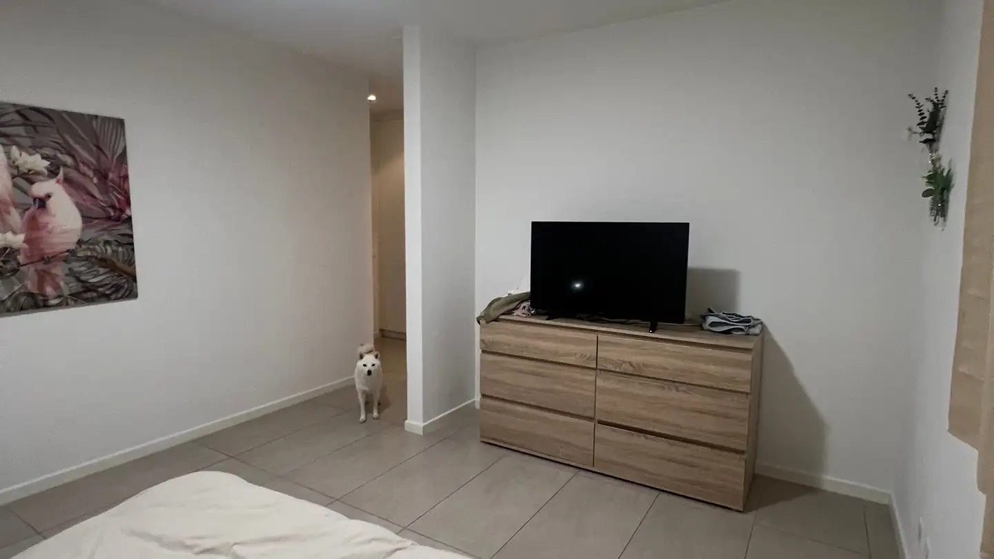 Appartamento in affitto - 6915 Pambio-Noranco - Foto 3