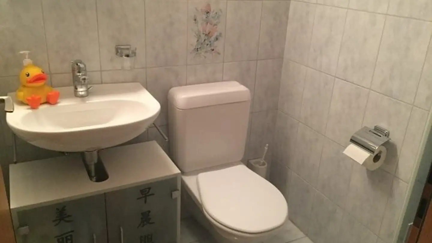 Single room for rent - 8934 Knonau - Photo 3