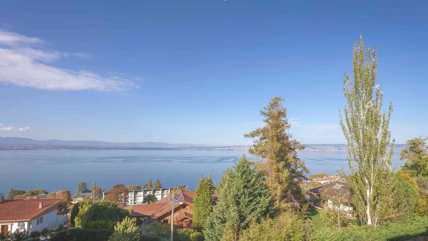 Appartement à louer - 1006 Lausanne