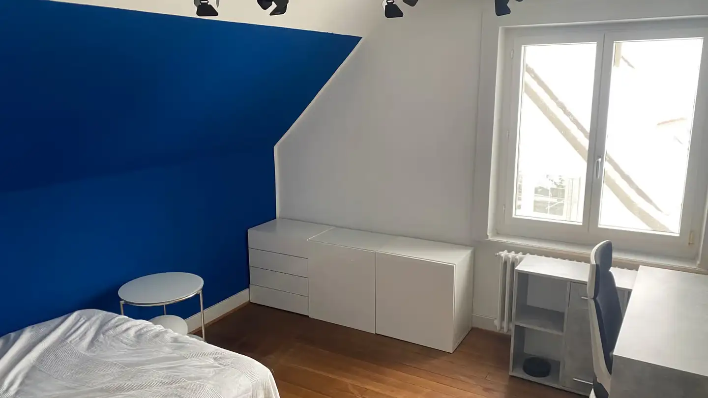 Chambre à louer - Winkelstrasse 6, 8046 Zürich
